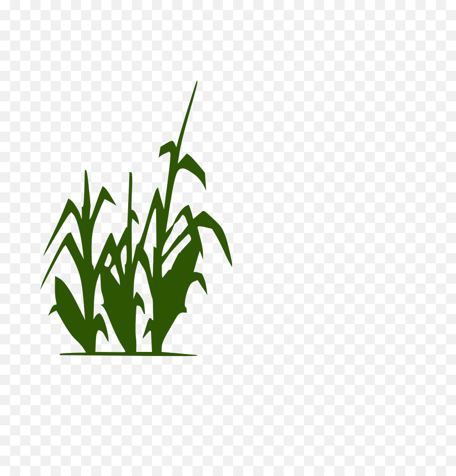 Corn Stalk Png Clip Arts For Web - Clipart Black And White Corn Stalks,Corn Stalk Png