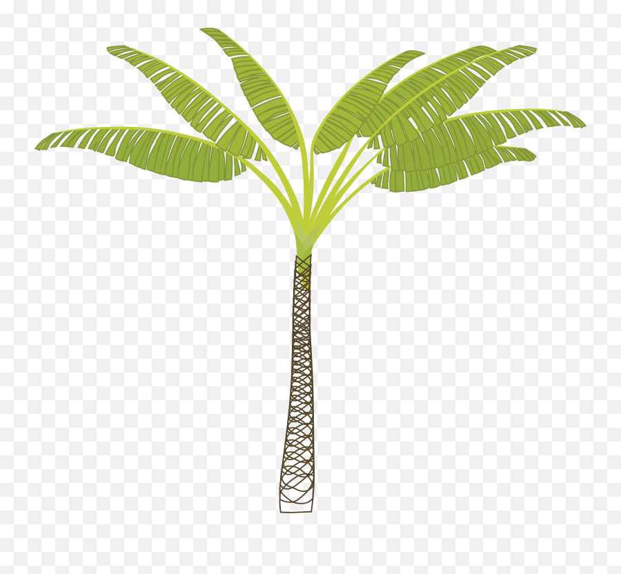 Palmtree Png Free Download 6 - Cartoon Rainforest Tree Png,Palmtree Png