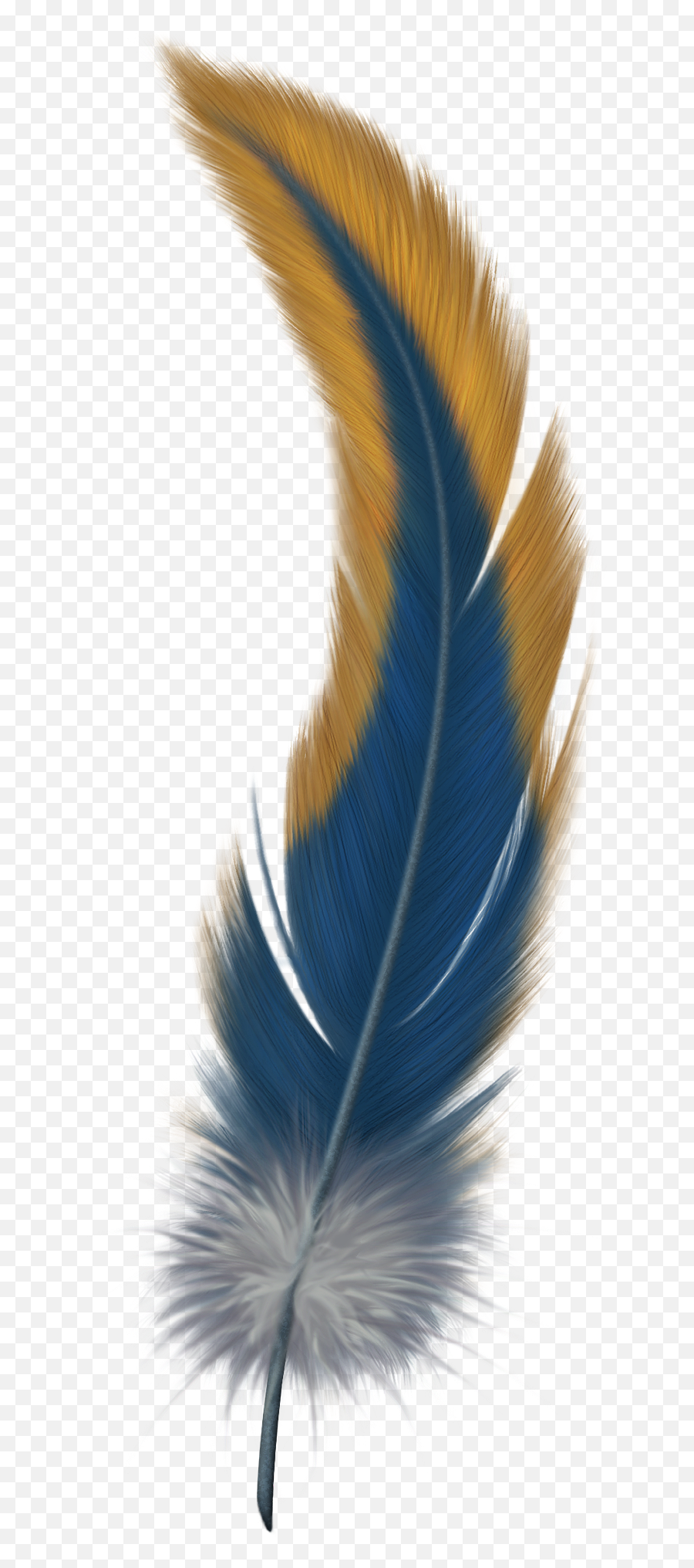 Feather Png - Bird Of Paradise Feather,Feather Png