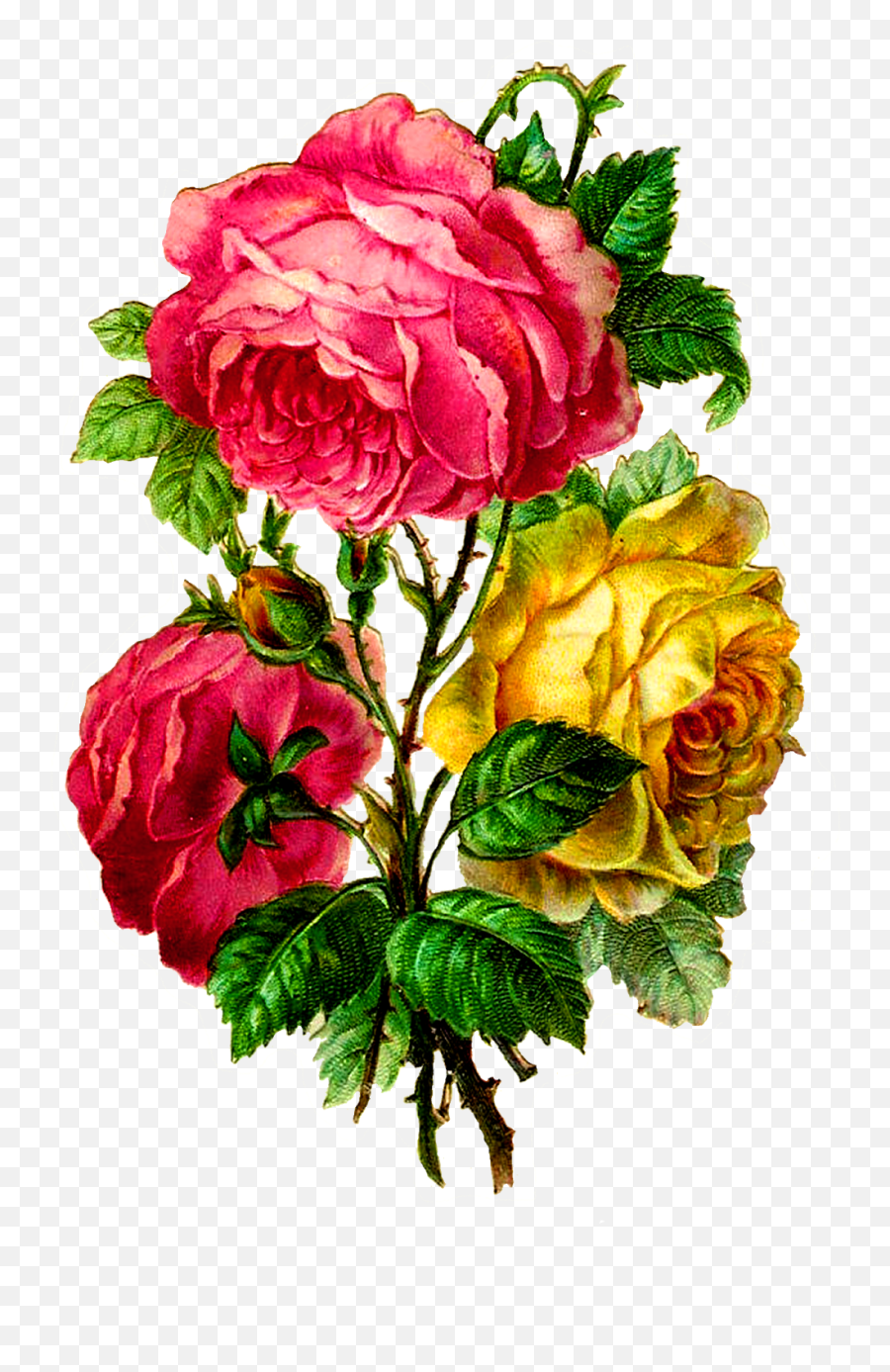 Centifolia Roses Paper Flower Bouquet - Rose Png,Paper Flower Png