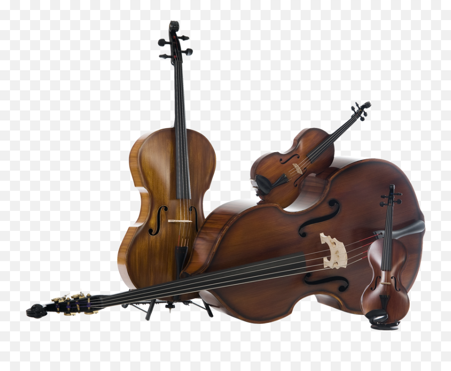Ricci Carbon Instruments High - Class Orchestra And Concert Free Images Orchestra Instruments Png,Instruments Png