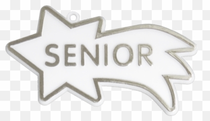 Senior Shooting Star 3 - WhiteSilver 12 pc pkg Automotive Decal png