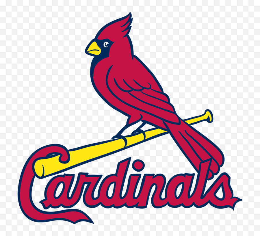 Learn How To Draw St Louis Cardinals Logo - Easy To Draw Vector St Louis Cardinals Logo Png,Google Drawings Logo