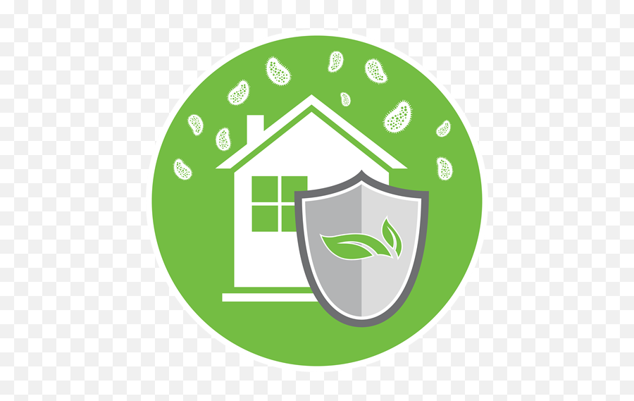 Mold Remediation Green Home Solutions - Disinfected Space Icon Png,Kills Icon