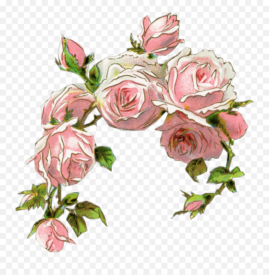 Old Rose Clipart - Old Rose Flower Design Png,Vintage Flower Png