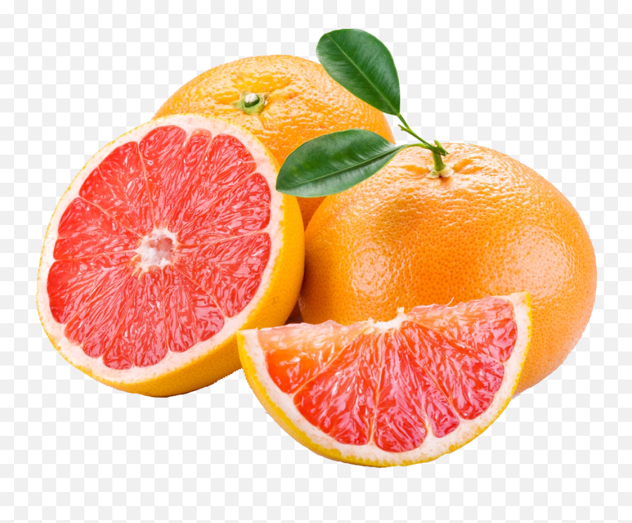 Png Tumblr - Grapefruit Png,Fruit Transparent