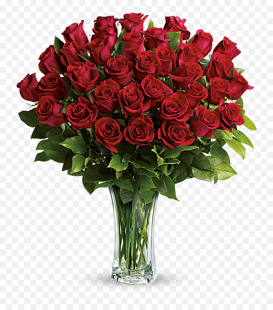 36 Long Stemmed Red Roses - Flower Bokeh Png Hd,Real Rose Png