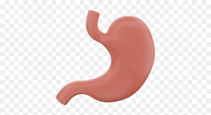 Stomach Icon - Download In Glyph Style Language Png,Gi Tract Icon