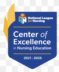 Online Nursing Programs And Healthcare Degrees Wgu - Language png
