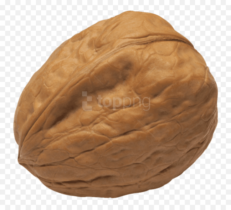 Download Walnut Png Image - Nut Crack Png,Walnut Transparent