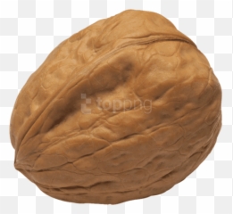 Download Walnut Png Image - Nut Crack Png,Walnut Transparent