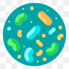 Pin - Prebiotic Foods Prebiotics Vector png