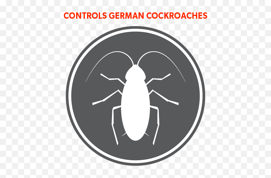 Blattex Gel Cockroach Bait U2013 Ensystex Australasia Pty Ltd - Parasitism Png,Cockroach Icon