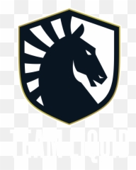 One Esports Singapore Major 2021 - Dota Match Schedule Team Liquid Logo png