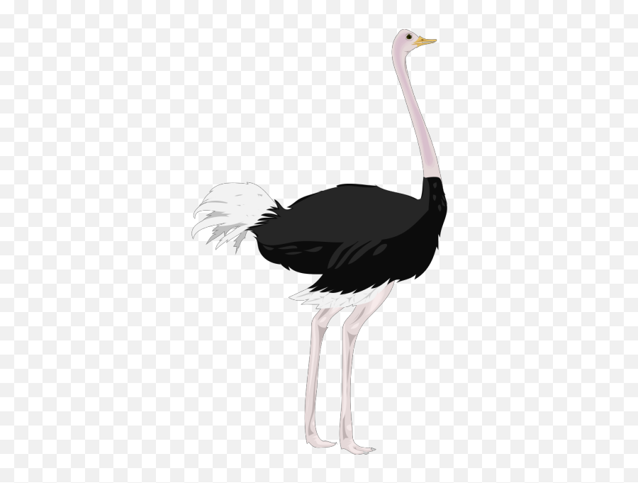 Ostrich Png Svg Clip Art For Web - Download Clip Art Png Clipart Ostrich,Metallica Icon Hd