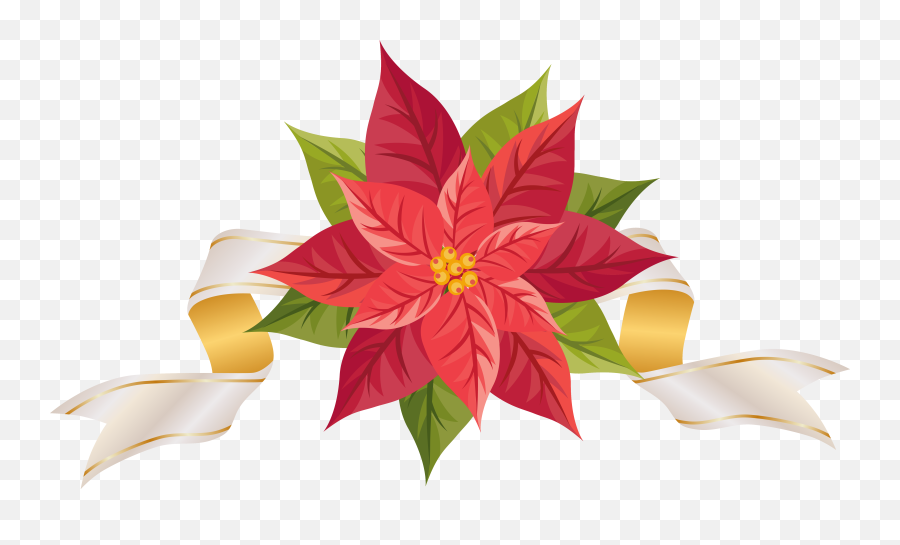 Poinsettia With Ribbon Png Clipart - Poinsettias Clipart,Poinsettia Png