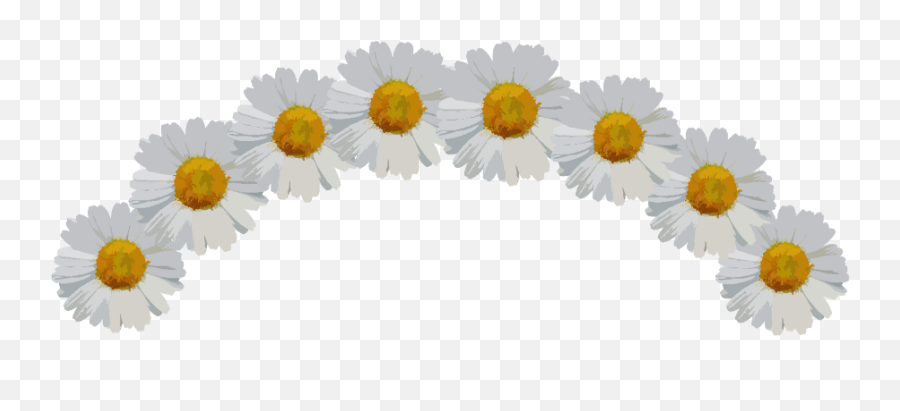 Download Ftestickers Sticker - Daisy Flower Crown Png Full Flower Crown Png Transparent Sticker,Flower Crown Png