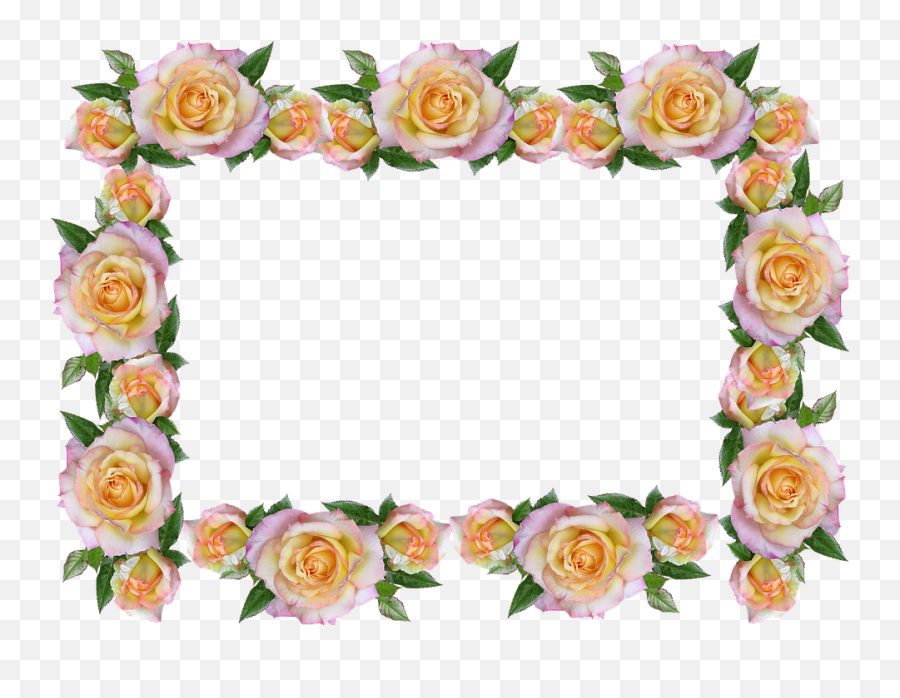 Free Rose Border Transparent Download Clip Art - Decorative Rose Border Design Png,Rose Border Transparent