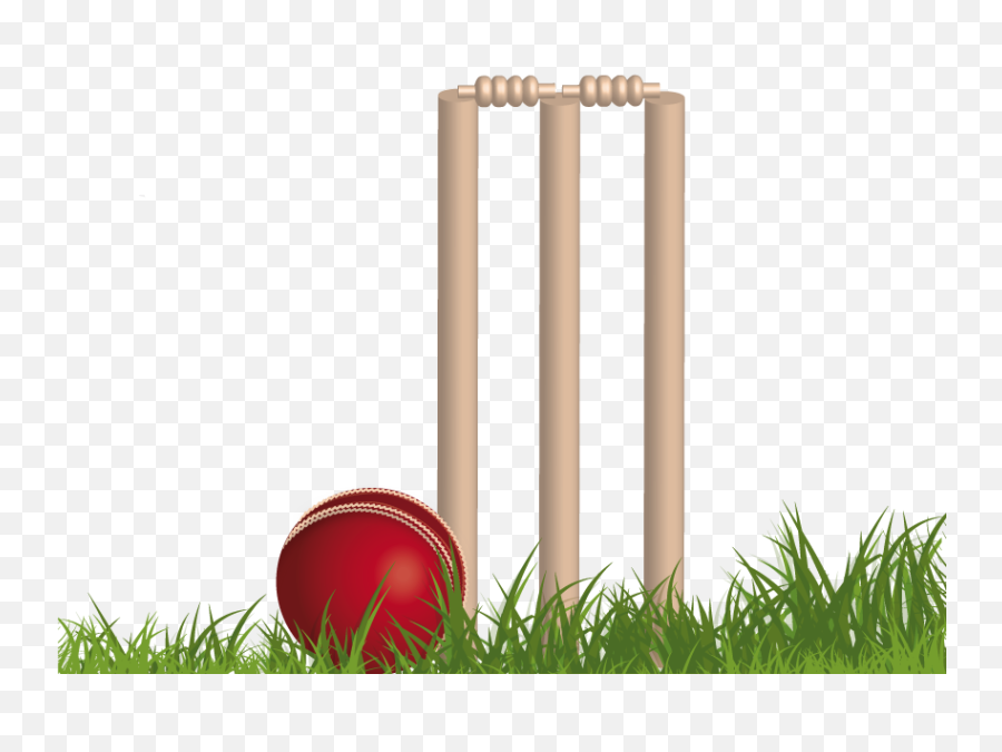 Cricket Png Background Image - Background Cricket Images Png,Cricket Png