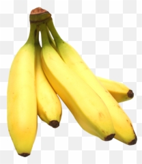 Banana's PNG Image - PurePNG  Free transparent CC0 PNG Image Library