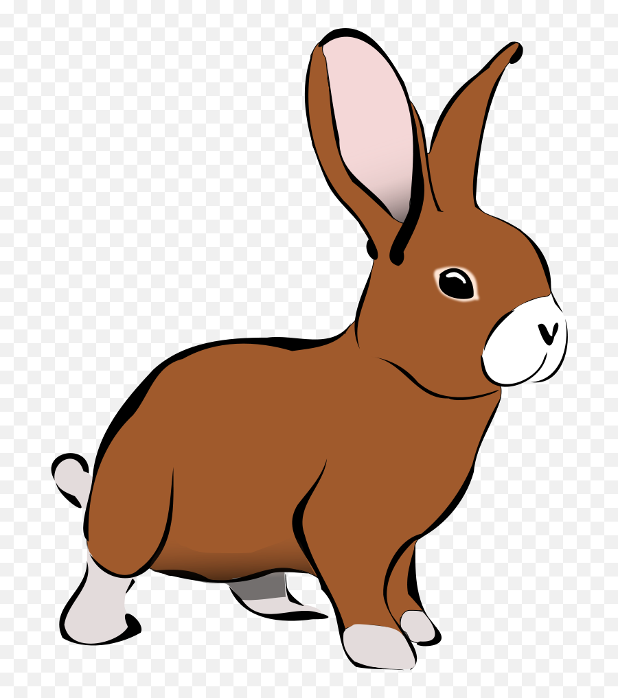 Animals Clipart Rabbit - Transparent Background Rabbit Clip Art Png,Rabbit Transparent
