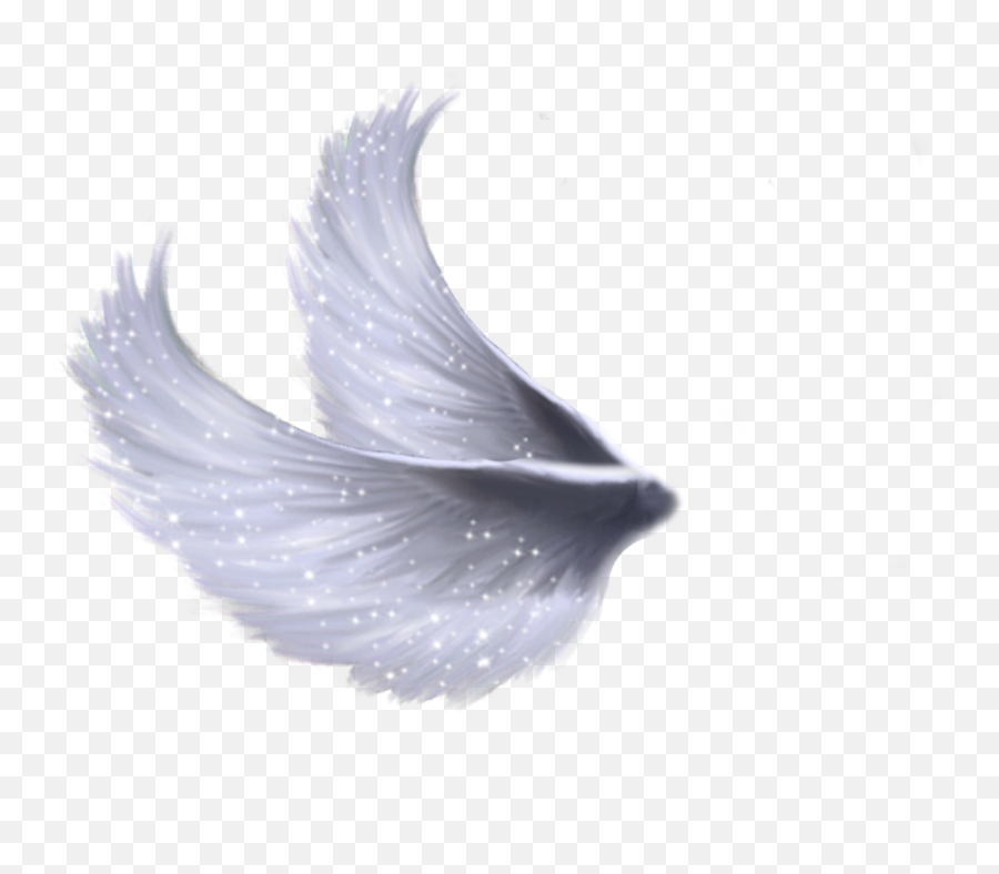 Wings Png File Mart - Side Angel Wings Png,Wing Png