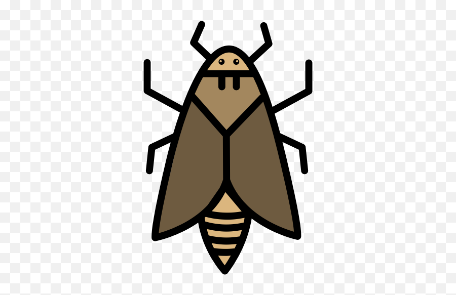 Bug Insect Moth Nature Icon - Icono Polilla Png,Moth Png