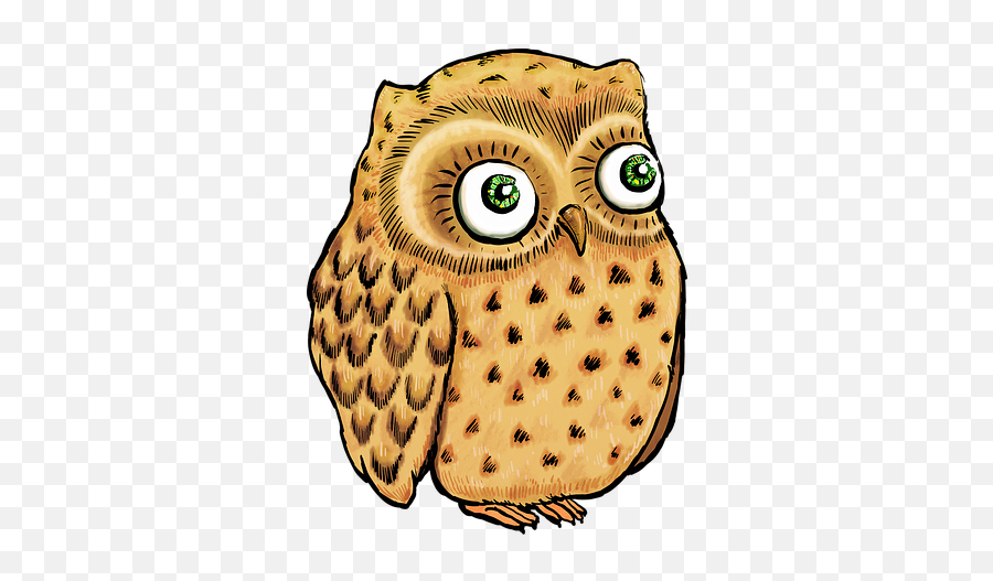 Cute Owl Illustration Drawing - Owls Png,Owl Png