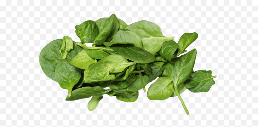 Spinach Leaf Png - Baby Spinach Spinach 2870939 Vippng Baby Spinach Png,Spinach Png