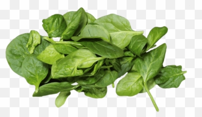 Spinach Leaf Png - Baby Spinach Spinach 2870939 Vippng Baby Spinach Png,Spinach Png