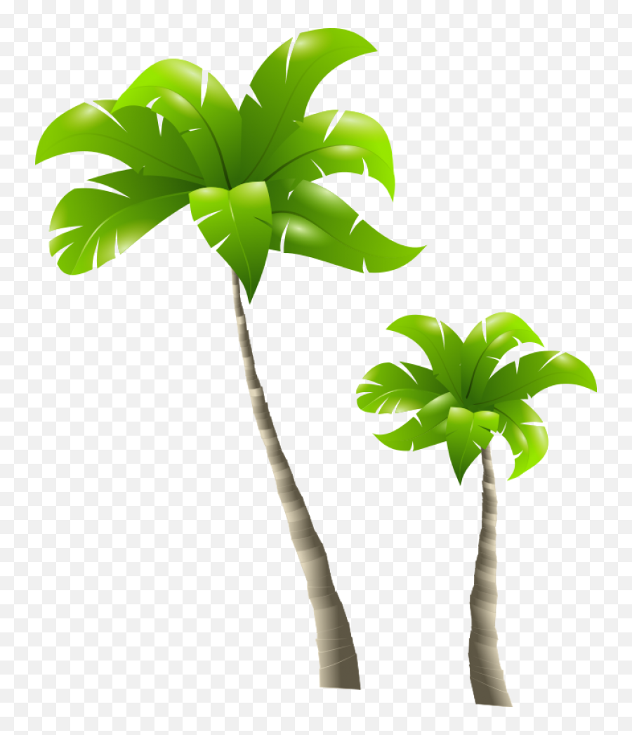 Palm Tree Png Images - Tall And Short Clipart,Palmtree Png