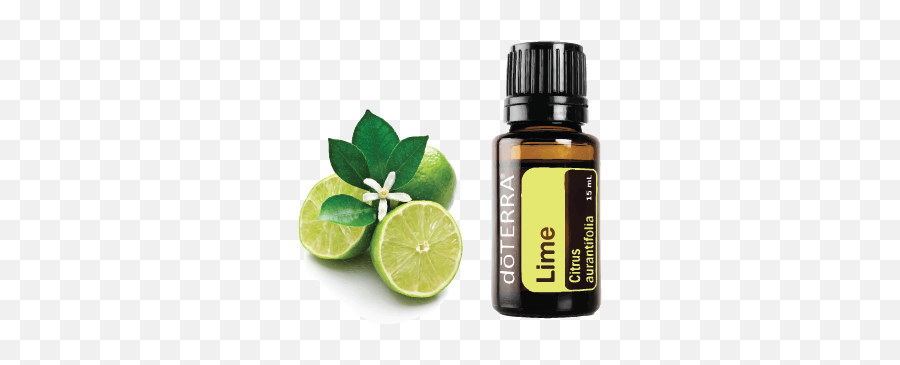 Lime - Lime Essential Oil Doterra Png,Limes Png
