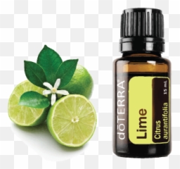 Lime - Lime Essential Oil Doterra Png,Limes Png