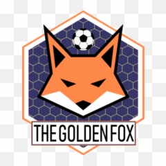 Fvpa - Esport Fifa 16 S02 Ligue 2 Groupe A Emblem Png,Fifa 16 Logos