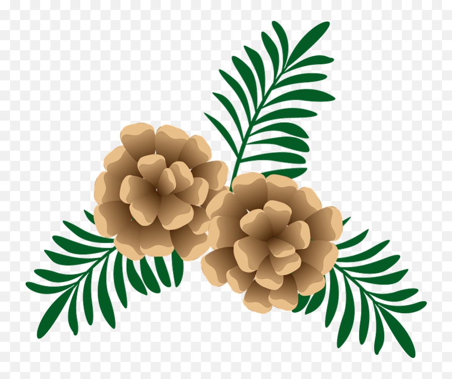 Pine Cone And Needles Clipart Free Download Png Pinecone