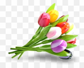 Tulip Bouquet Png - Wooden Tulips Transparent Cartoon Background