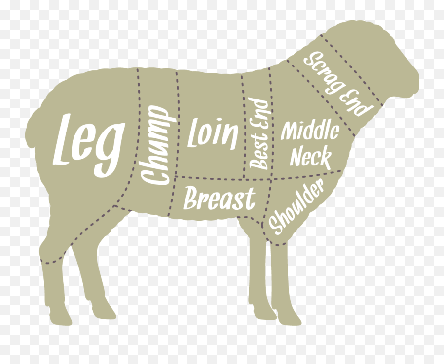 Download Our Butchers Hang The Lambs For 7 Days Which - Animal Figure Png,Spit Png