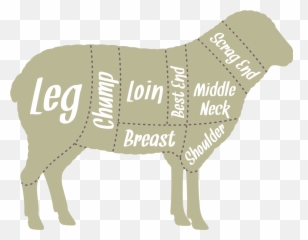Download Our Butchers Hang The Lambs For 7 Days Which - Animal Figure Png,Spit Png