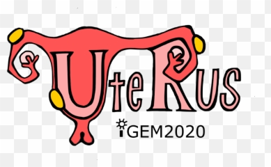 Teamrochestercontact - 2020igemorg Language png