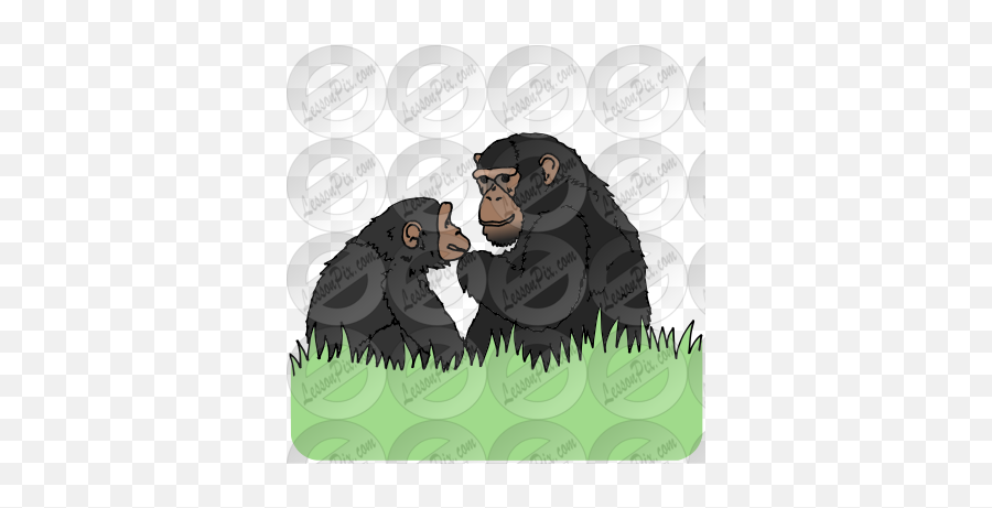 Apes Picture For Classroom Therapy Use - Great Apes Clipart Old World Monkeys Png,Chimpanzee Png