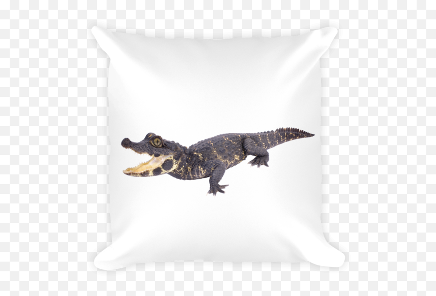 Dwarf - Crocodile Print Square Pillow Big Png,Crocodile Transparent