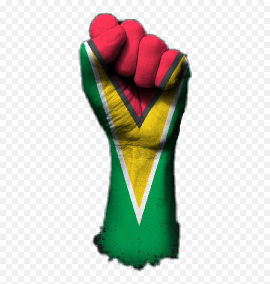 Popular And Trending Guyana Stickers Picsart - Transparent Hand With Guyana Flag Png,Guyana Flag Png