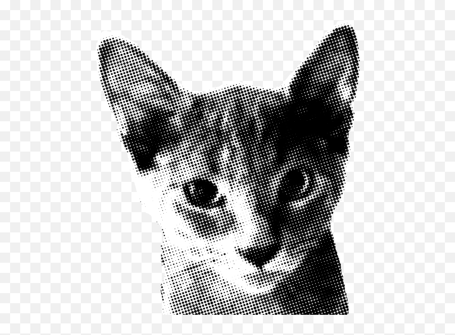 Some Kind Of Dithered Halftone Pointillist - Style Bitmap Cat Halftone Png,Halftone Dots Png