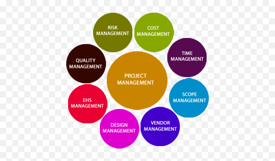 Consultant Clipart Project Delivery - Project Management Dot Png,Project Scope Icon