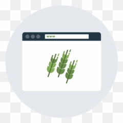 Virtual Events Platform - TXF News Language png