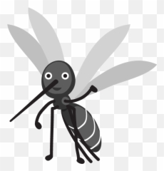 Animals And Insects Of Yakushima - Transparent Mosquito Transparent Mosquito Cartoon Large Png,Mosquito Transparent