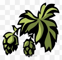Hops Royalty Free Vector Clip Art Illustration - Vc032069 Hops Clipart Png,Hops Png