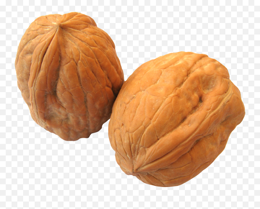 Nuts Walnut Transparent Png Clipart - Wall Nut Png,Walnut Transparent