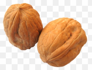 Nuts Walnut Transparent Png Clipart - Wall Nut Png,Walnut Transparent