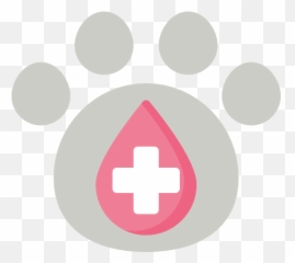 Veterinarian Punta Gorda Fl Choice Veterinary Services - Language png